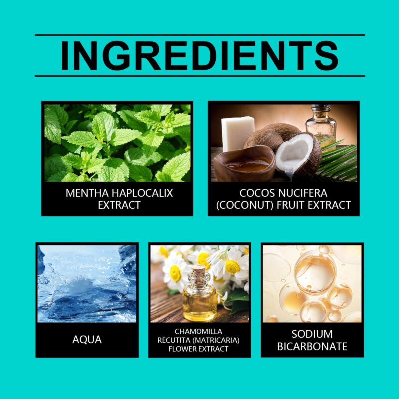 Coconut Mint Mouthwash - Stain Removal, Fresh Breath & Convenient Care, Oral Rinse - Image 5